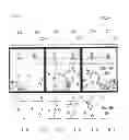 Fig. 31 - Gaming machine running common game
