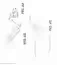 Fig. 04 - Golf club with adjustable hosel angle