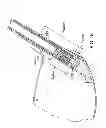 Fig. 09 - Golf club