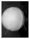 Fig. 04 - Golf ball with translucent cover