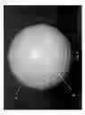 Fig. 07 - Golf ball with translucent cover