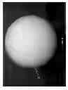 Fig. 09 - Golf ball with translucent cover