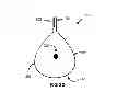 Fig. 05 - METHODS AND SYSTEMS FOR SECURING A SLEEVE FOR ENDOLUMINAL DEVICES