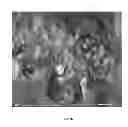 Fig. 04 - Metal-supported catalyst structures and processes for manufacturing the same