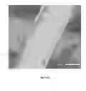 Fig. 07 - Metal-supported catalyst structures and processes for manufacturing the same