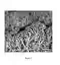 Fig. 09 - Metal-supported catalyst structures and processes for manufacturing the same