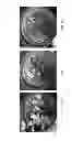 Fig. 04 - SEED COATING FORMULATION SYSTEMS