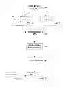 Fig. 01 - Fetal aneuploidy detection by sequencing