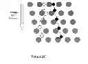 Fig. 05 - Fetal aneuploidy detection by sequencing