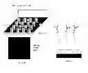 Fig. 07 - Fetal aneuploidy detection by sequencing