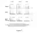 Fig. 11 - Fetal aneuploidy detection by sequencing