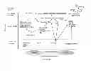 Fig. 22 - Fetal aneuploidy detection by sequencing