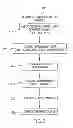 Fig. 03 - Automatic threshold setting and baseline determination for real-time PCR