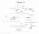 Fig. 31 - PLASMIDS AND METHODS FOR PEPTIDE DISPLAY AND AFFINITY-SELECTION ON VIRUS-LIKE PARTICLES OF RNA BACTERIOPHAGES