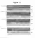 Fig. 32 - PLASMIDS AND METHODS FOR PEPTIDE DISPLAY AND AFFINITY-SELECTION ON VIRUS-LIKE PARTICLES OF RNA BACTERIOPHAGES