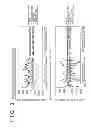 Fig. 04 - Lubricant for a plunger and production method thereof