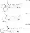 Fig. 08 - Aromatic Imides And Esters As Lubricant Additives