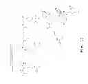 Fig. 04 - Compound and method for treating myotonic dystrophy