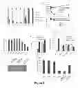 Fig. 04 - Methods and systems for adenovirus interaction with desmoglein 2 (DSG2)