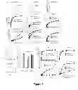 Fig. 05 - Methods and systems for adenovirus interaction with desmoglein 2 (DSG2)