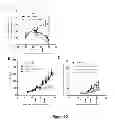 Fig. 22 - Methods and systems for adenovirus interaction with desmoglein 2 (DSG2)