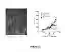 Fig. 23 - Methods and systems for adenovirus interaction with desmoglein 2 (DSG2)