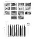 Fig. 11 - PHARAMACEUTICAL COMPOSITION FOR PREVENTING OR TREATING HUMAN IMMUNODEFICIENCY VIRUS