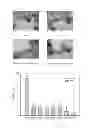 Fig. 12 - PHARAMACEUTICAL COMPOSITION FOR PREVENTING OR TREATING HUMAN IMMUNODEFICIENCY VIRUS
