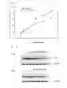 Fig. 18 - PHARAMACEUTICAL COMPOSITION FOR PREVENTING OR TREATING HUMAN IMMUNODEFICIENCY VIRUS