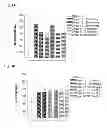 Fig. 04 - Engineered polypeptides having enhanced duration of action