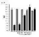 Fig. 08 - Engineered polypeptides having enhanced duration of action