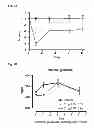 Fig. 12 - Engineered polypeptides having enhanced duration of action