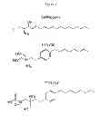 Fig. 02 - Treatment of Type 2 Diabetes With FTY720