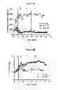 Fig. 03 - Treatment of Type 2 Diabetes With FTY720