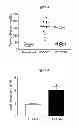 Fig. 04 - Treatment of Type 2 Diabetes With FTY720