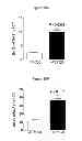 Fig. 08 - Treatment of Type 2 Diabetes With FTY720