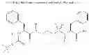 Fig. 95 - METHODS AND COMPOSITIONS FOR TREATING AMYLOID-RELATED DISEASES