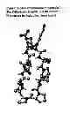 Fig. 02 - Template-fixed peptidomimetics