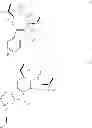 Fig. 10 - Template-fixed peptidomimetics