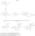 Fig. 28 - Template-fixed peptidomimetics