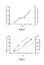Fig. 02 - Method for administering omega-conopeptide