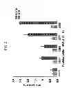 Fig. 04 - KDR and VEGF/KDR binding peptides and their use in diagnosis and therapy