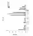 Fig. 08 - KDR and VEGF/KDR binding peptides and their use in diagnosis and therapy
