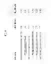 Fig. 10 - KDR and VEGF/KDR binding peptides and their use in diagnosis and therapy
