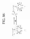 Fig. 103 - KDR and VEGF/KDR binding peptides and their use in diagnosis and therapy