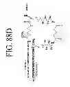 Fig. 110 - KDR and VEGF/KDR binding peptides and their use in diagnosis and therapy