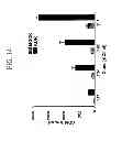 Fig. 16 - KDR and VEGF/KDR binding peptides and their use in diagnosis and therapy