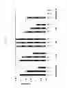 Fig. 17 - KDR and VEGF/KDR binding peptides and their use in diagnosis and therapy