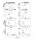 Fig. 23 - KDR and VEGF/KDR binding peptides and their use in diagnosis and therapy