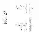 Fig. 32 - KDR and VEGF/KDR binding peptides and their use in diagnosis and therapy